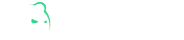 logo bruno casino